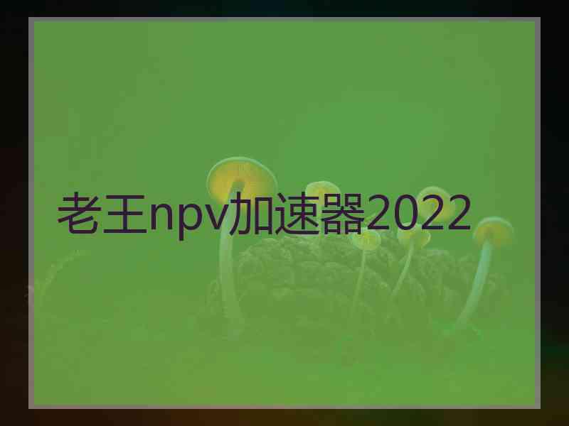 老王npv加速器2022