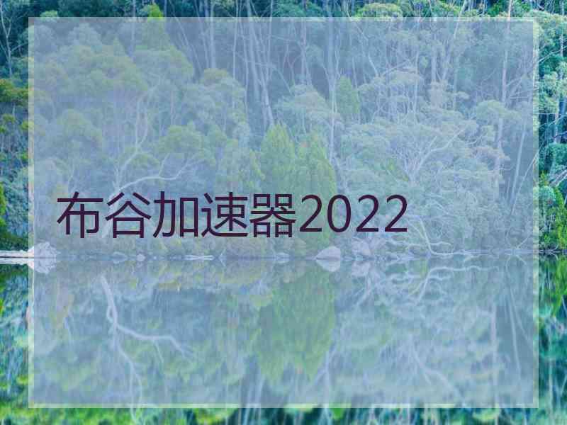 布谷加速器2022