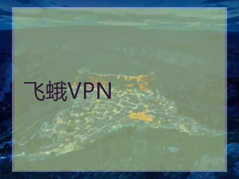 飞蛾VPN