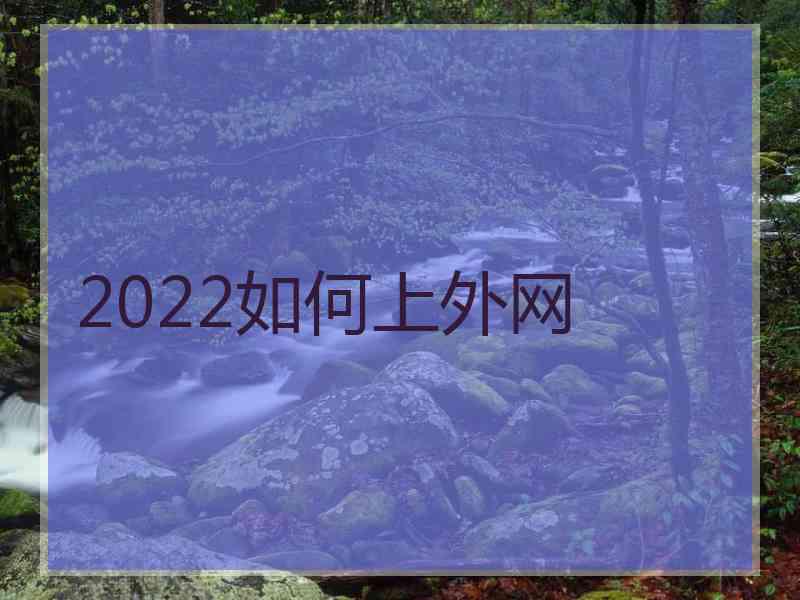 2022如何上外网