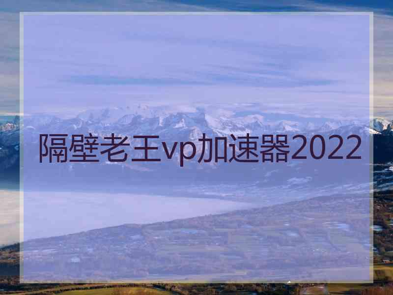 隔壁老王vp加速器2022