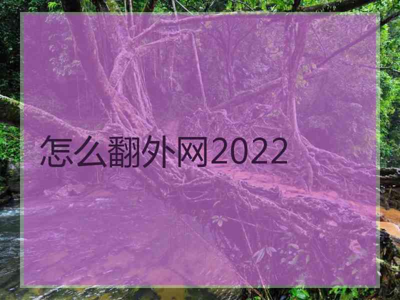 怎么翻外网2022