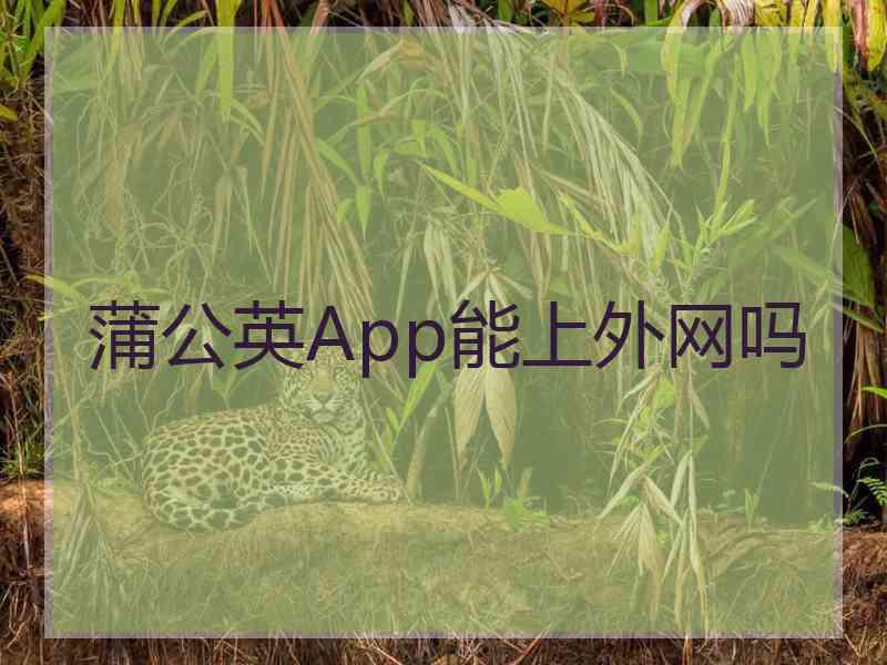 蒲公英App能上外网吗