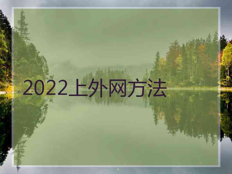 2022上外网方法