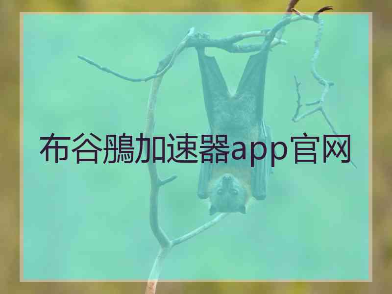 布谷鴅加速器app官网